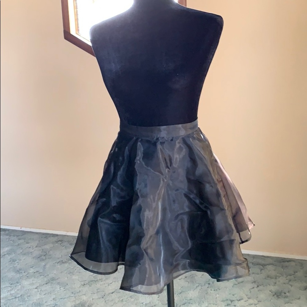 Back Skirt